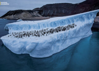 Braving the Drake Passage, swimming with leopard seals and interviewing a non-talker