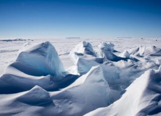 Learning to see: A landscape of ice, a blind boy's eyes, a grizzly bear and a wall stain