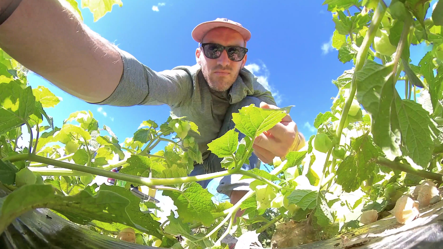 Image for What working on a farm taught a journalist about visual storytelling