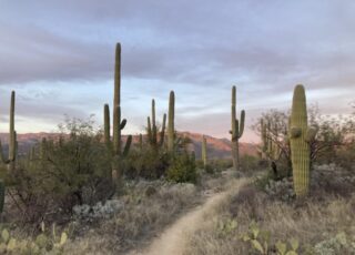 Guidance on the lonely road of writing