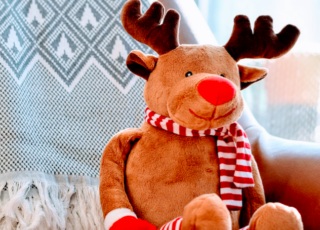 Roy Peter Clark: A red-nosed reindeer lights the way to better writing