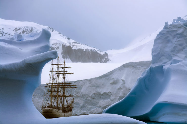 Image for 5(ish) Questions: René Koster and a stunning voyage to Antarctica