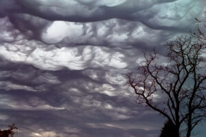 The word “asperatus” came from a passage in Virgil describing a roughened sea.