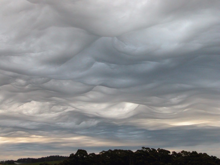 Image for Annotation Tuesday! Jon Mooallem’s “The Amateur Cloud Society That (Sort Of) Rattled the Scientific Community”