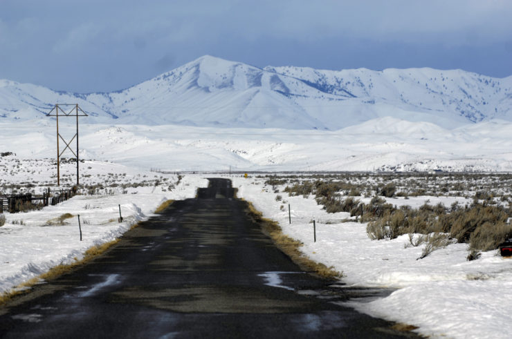 Image for Peter Stark and “As Freezing Persons Recollect the Snow – First – Chill – Then Stupor – Then the Letting Go –”