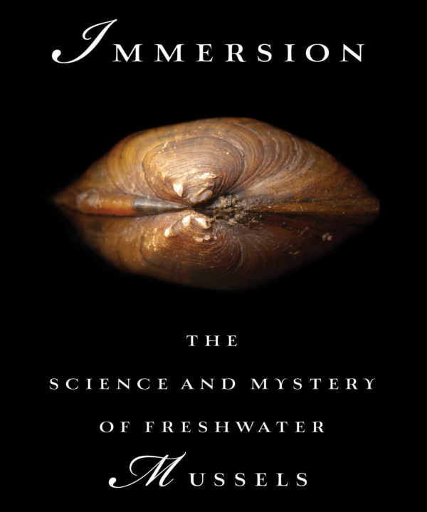 Image for 5(ish) Questions: Abbie Gascho Landis and the surprising climate book “Immersion”