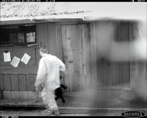 Surveillance camera footage of Bassler at a Boy Scout camp.