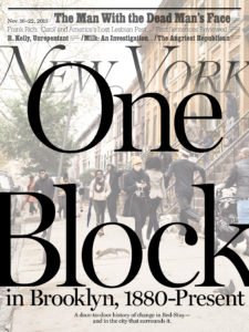 Image for “Why’s This So Good?” New York Magazine on “One Block” in fast-changing Brooklyn