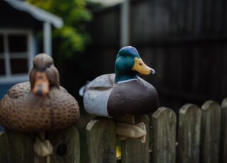 Gratitude Notes (#22): Carved ducks and coffee