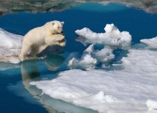 Paul Nicklen goes to extremes with Polar Obsession