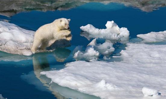 Image for Paul Nicklen goes to extremes with Polar Obsession