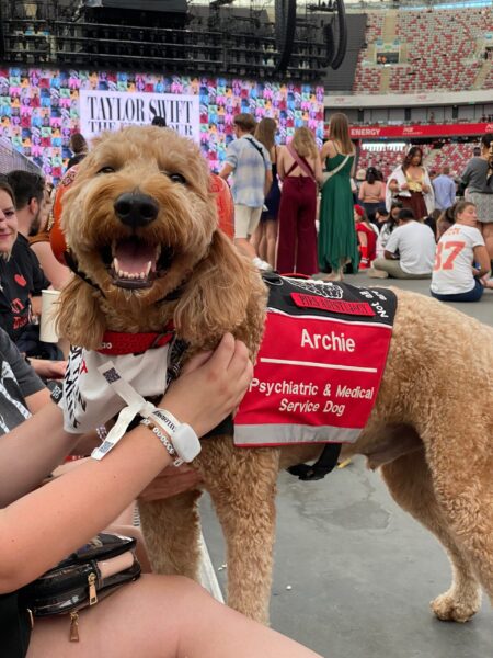 Photo of a therapy dog in a red vest at a recent Taylor Swift concert in Warsaw, Poland.