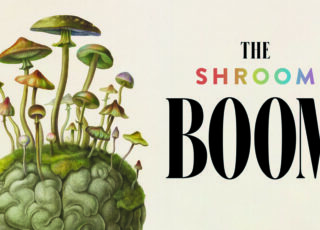 Putting the ‘I’ in storytelling