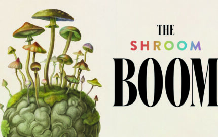 Image for Putting the ‘I’ in storytelling