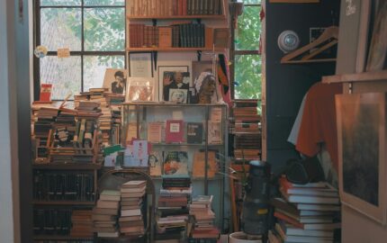 Image for Reading the show notes for lessons on storytelling