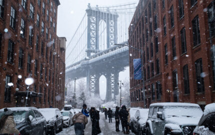 Image for Storyboard Best of 2025 (Part 2!)