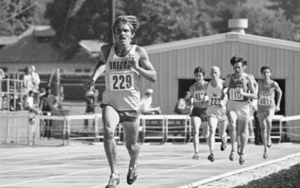 Image for Piecing together the past