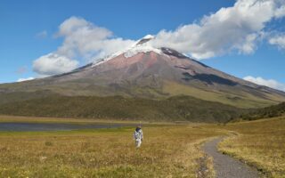 High-impact storytelling in college admissions essays, and what we can learn from it