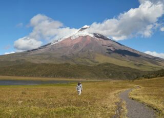 High-impact storytelling in college admissions essays, and what we can learn from it