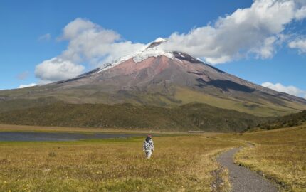 Image for High-impact storytelling in college admissions essays, and what we can learn from it