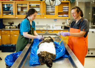 Getting the story: How 7 writers found their idea and main characters