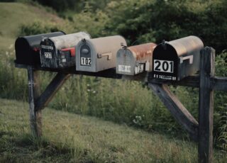 Should you start a newsletter?
