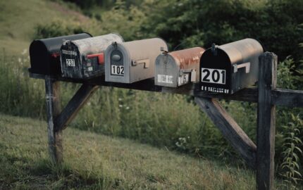 Image for Should you start a newsletter?