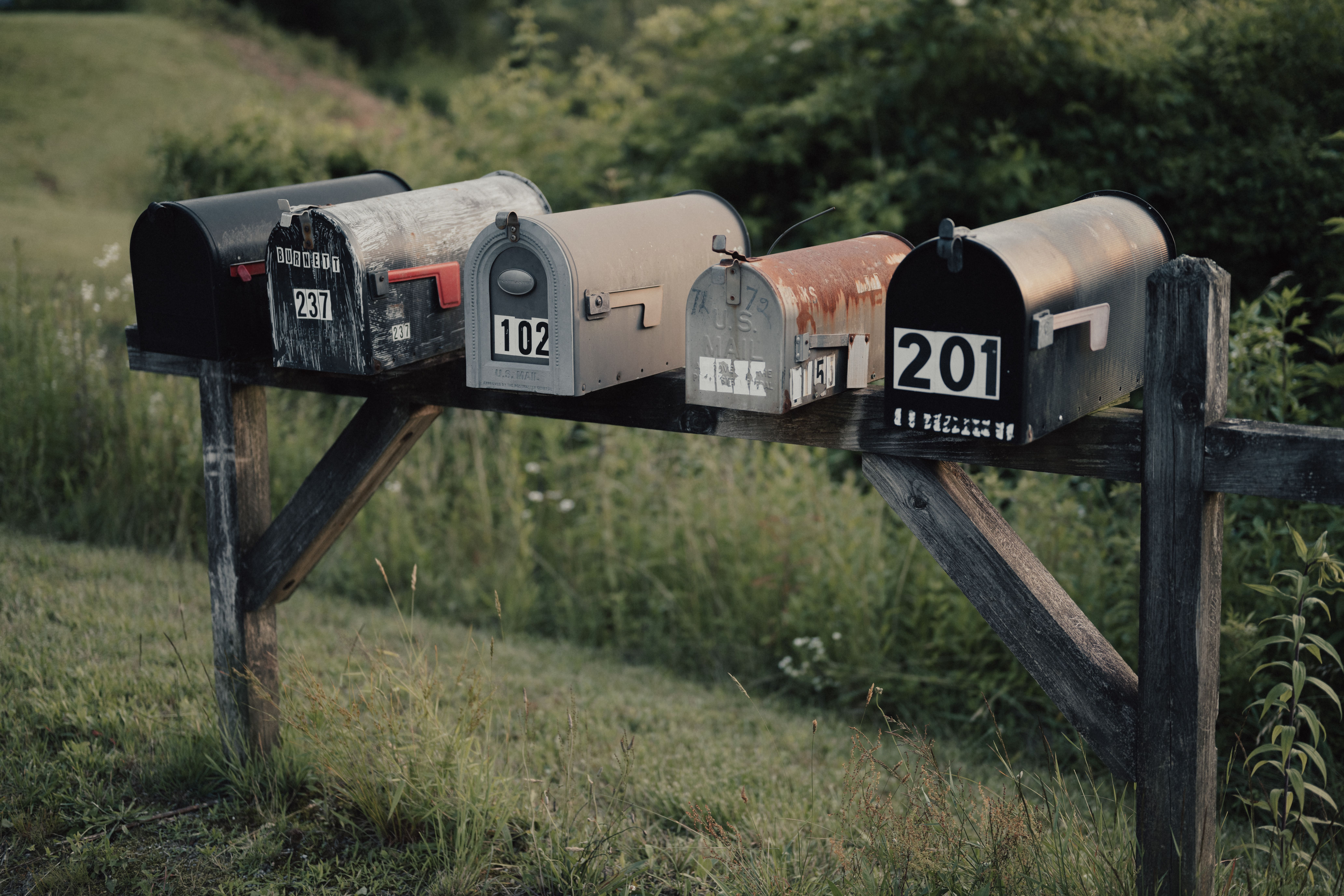 Should you start a newsletter?