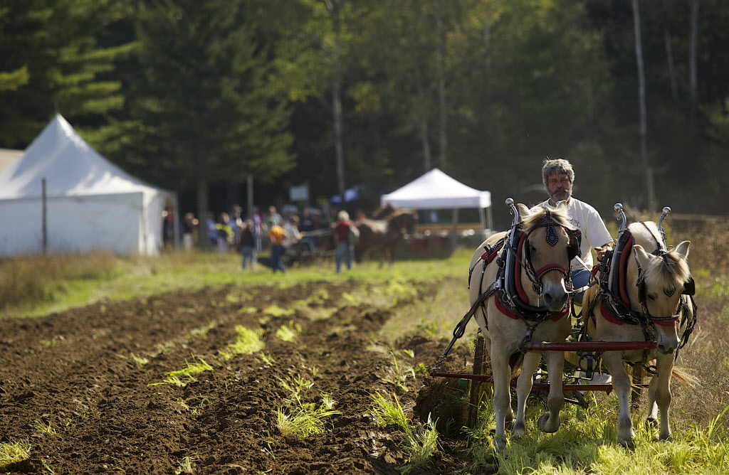In the foreground a horse draws a man and an old-fashioned plow, cutting furrows. In the rear of the picture is a canopy.