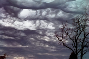 The word “asperatus” came from a passage in Virgil describing a roughened sea