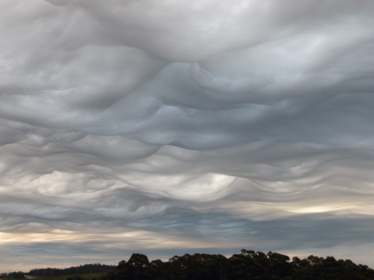 The new cloud photographed by a contributor to the Cloud Appreciation Society in Burnie, Tasmania, in 2004. 