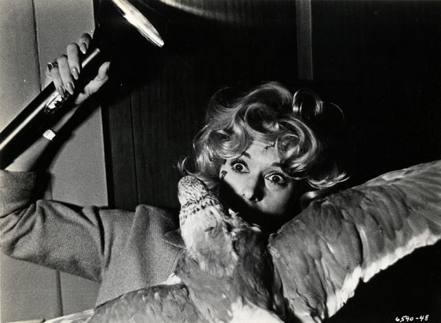 Like Tippi Hedren in this photo from "The Birds," Mac McClelland didn't have a lot of fun on her birding expedition