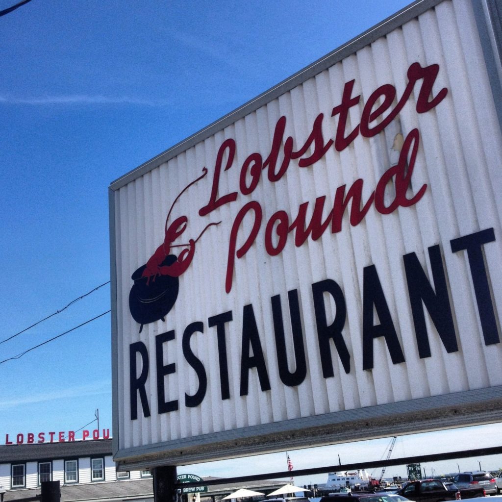 consider the lobster essay gourmet