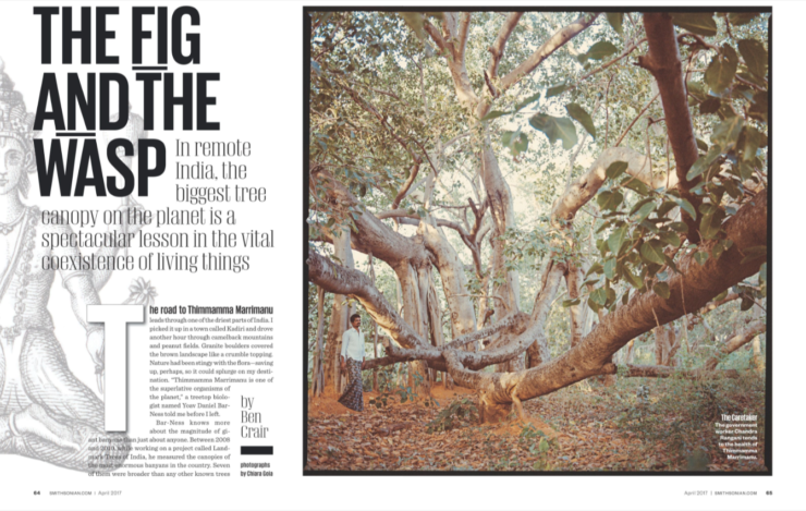 The finished spread in Smithsonian Magazine.