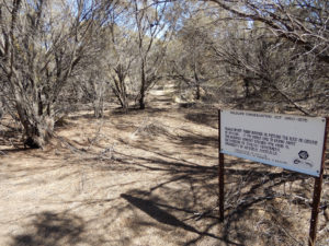 The Australian study site of spider researcher Barbara Main, and the climate-challenged home environment of Spider 16