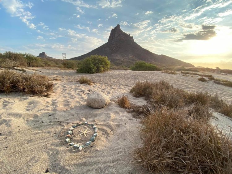 Shells spell on 0 on a trail in the San Carlos area of Mexico