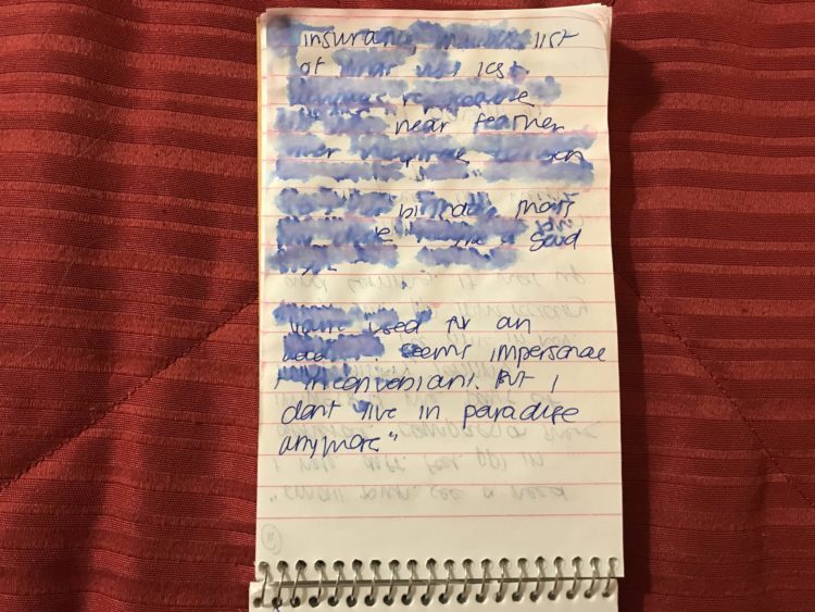 Reporter's notebook from a wildfire scene after being rescued from a puddle