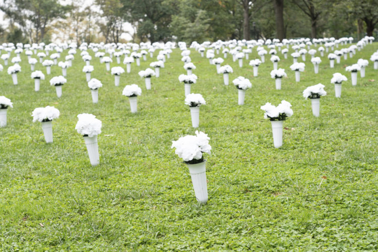 Bouquets of carnations at a national memorial in New York to victims of gun violence
