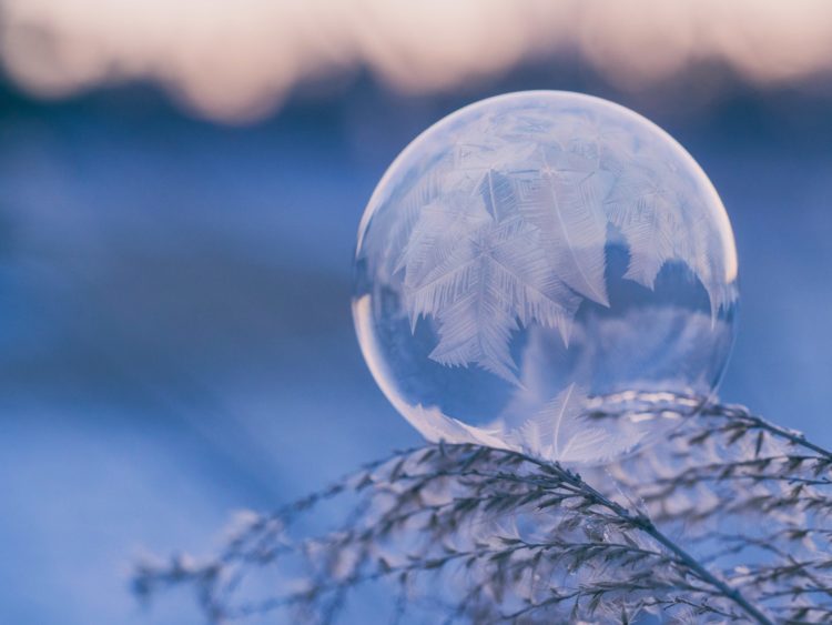 Photo of a glass ball frosted with leaf images