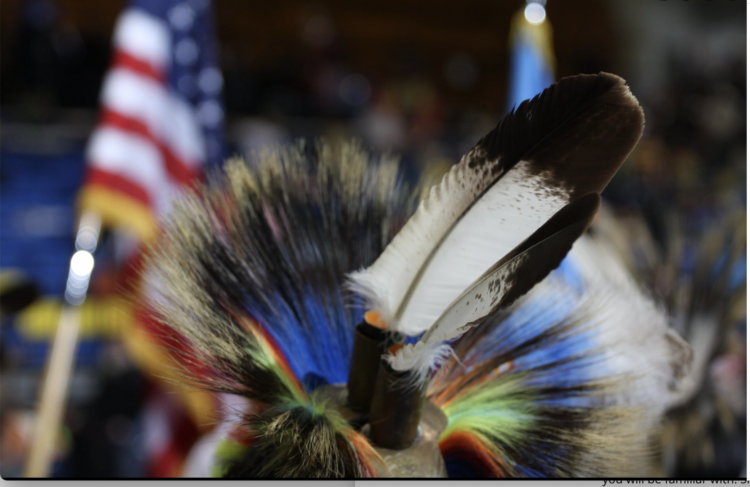 Feathered Native American headress