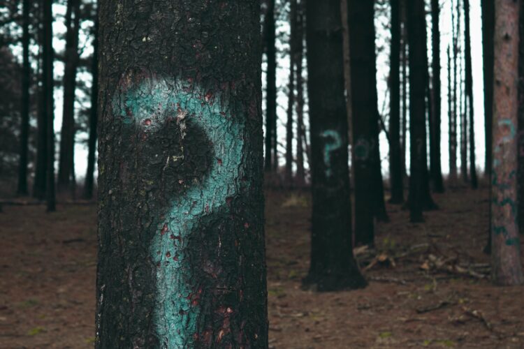 Trees with questions marks painted on them