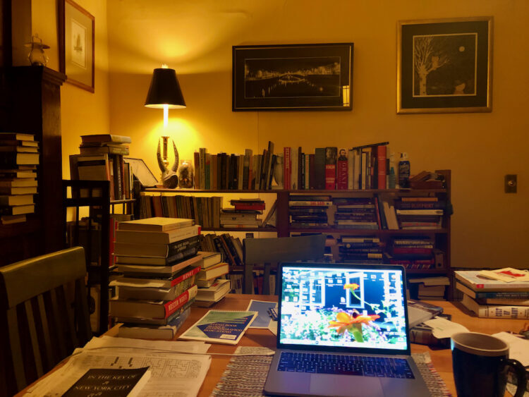 Book stacked on shelves, desks and tables in a book reviewer's dining room.
